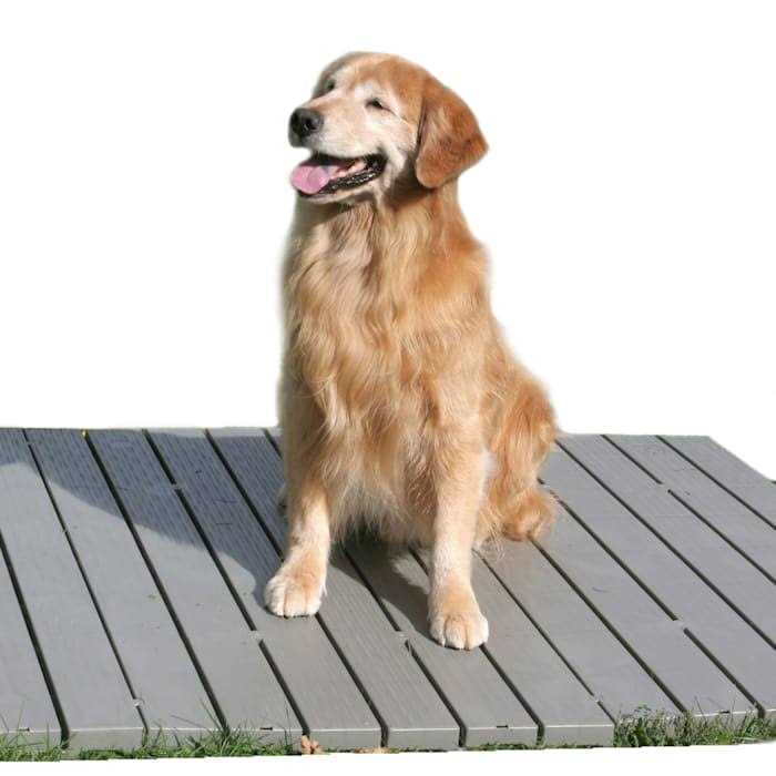 Pet Supplies D6143