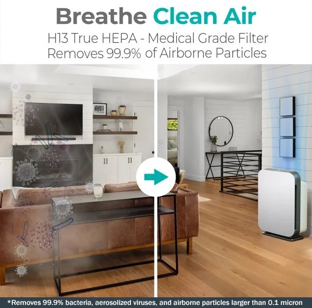 Air Purifier with True HEPA Filter M927657