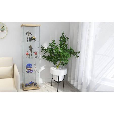 Glass Display Cabinet 4 Shelves with Door, Floor Standing Curio Bookshelf U299