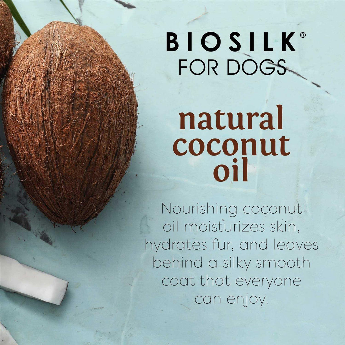 Coconut Oil Dog Shampoo H77735