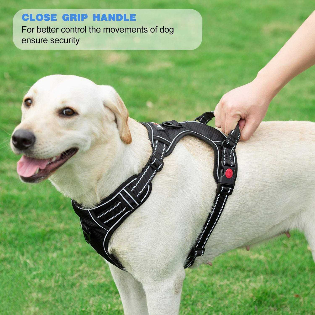 Adjustable Reflective Oxford Dog Harness with 5ft Dog Leash N101