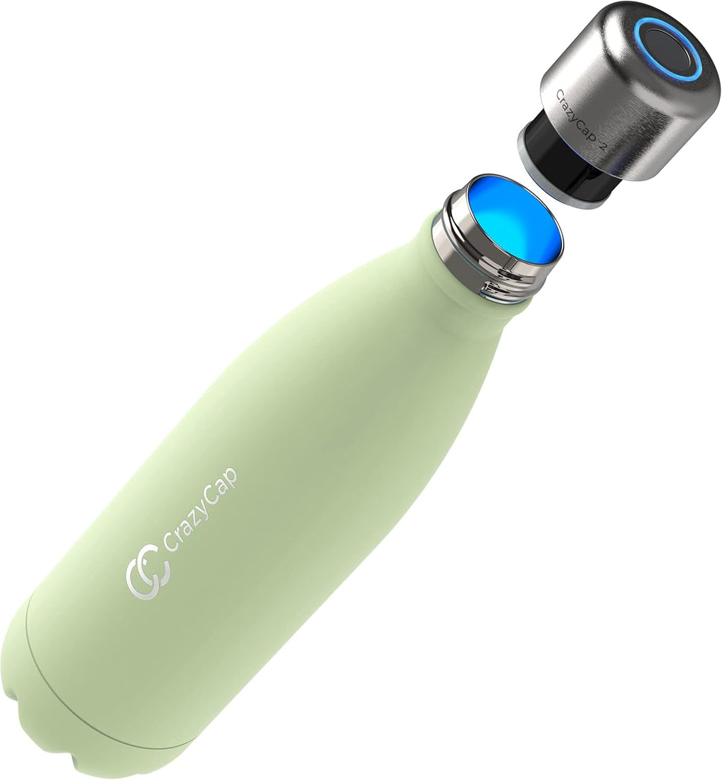 Stainless Steel Insulated Water Bottle T9802