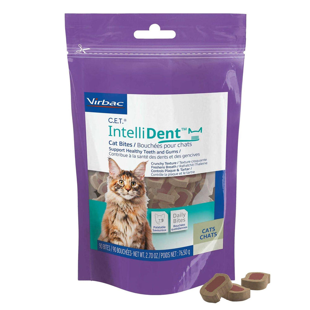 Cat Bites A736856