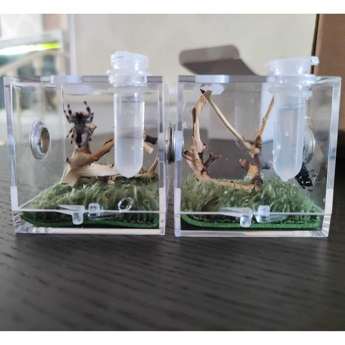 Spider Terrarium Acrylic Reptile Breeding Box with Dropper Tongs P639636