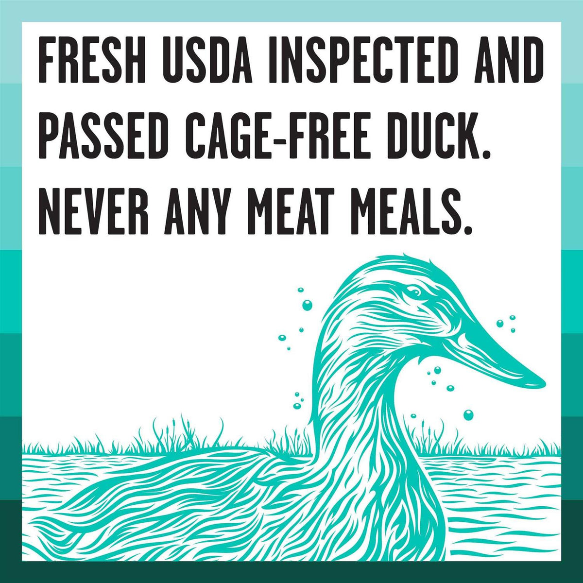 Duck Recipe Dry Dog Food Y240