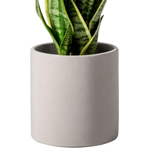 Gray 5 Inch Cement Plant Pots with Drainage Hole Q9829