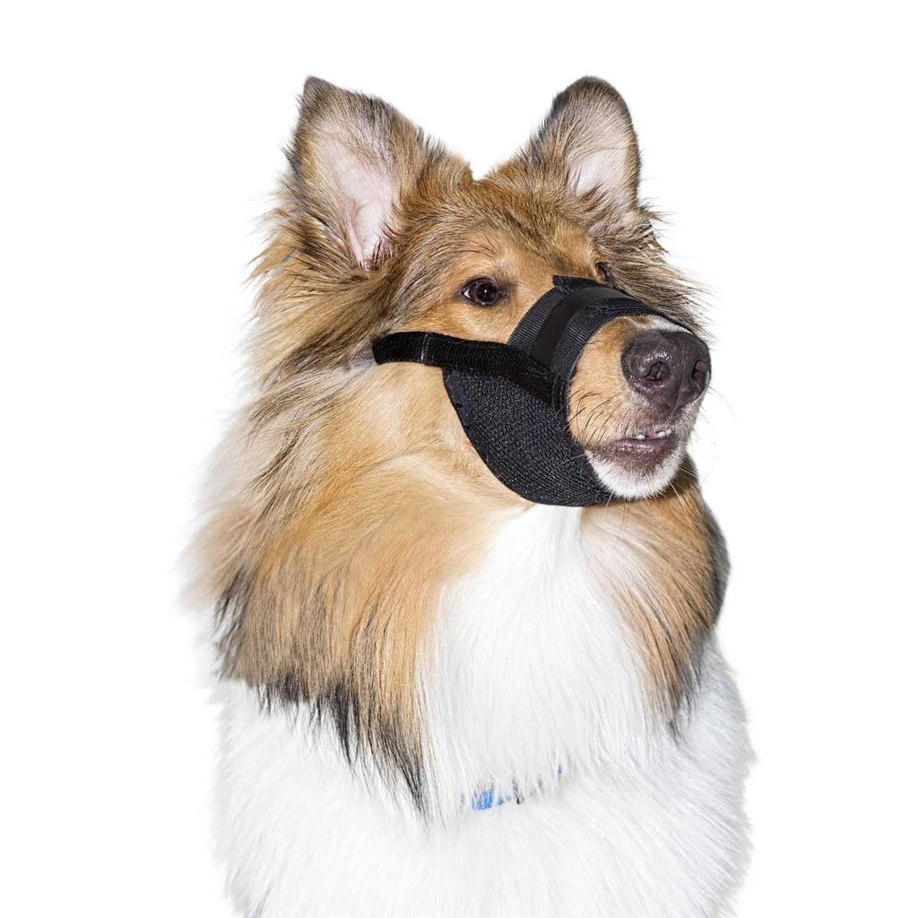Dog Muzzle E56450