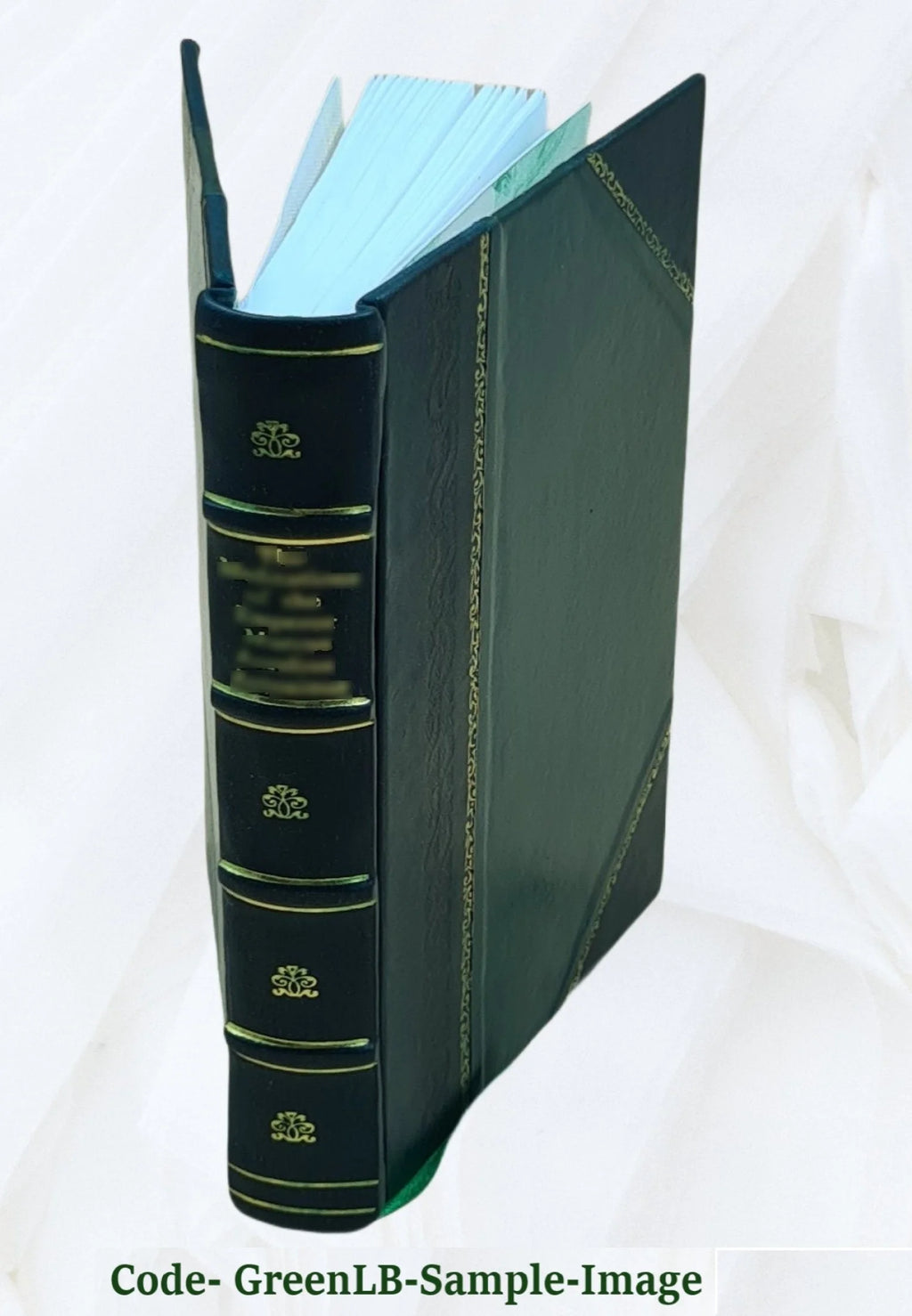 Leather Bound Book G852707