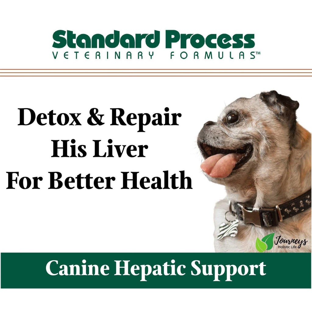Canine Hepatic Support K69157