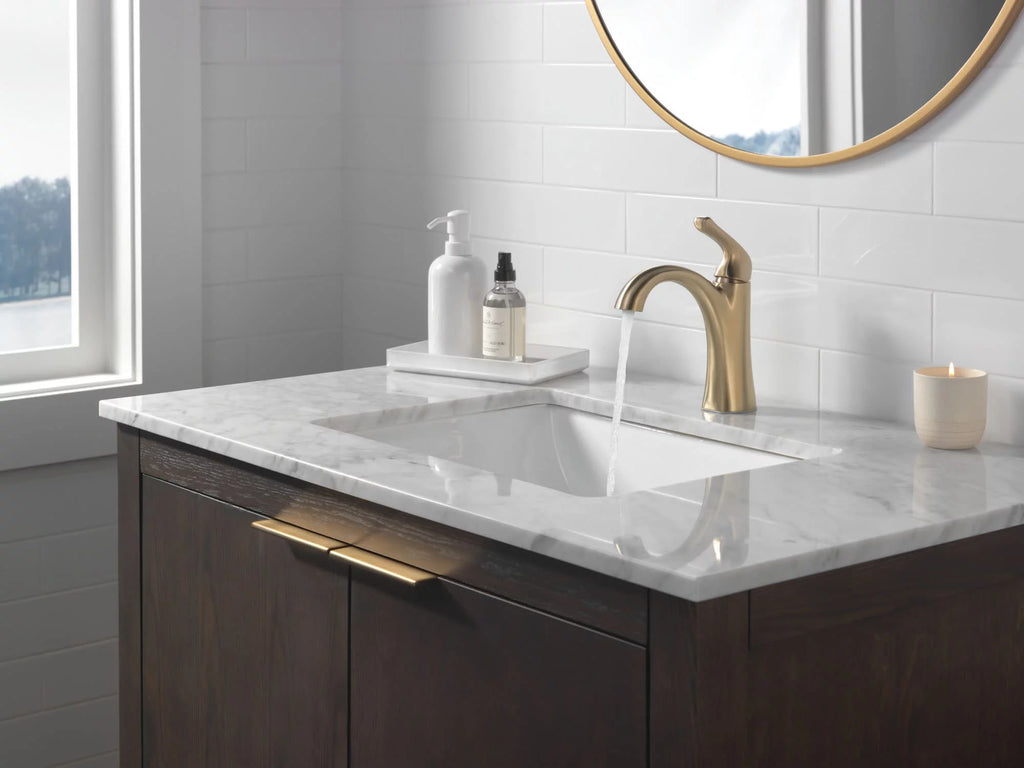Bronze Single Hole Bathroom Faucet F866