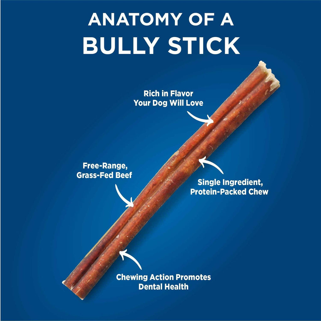 Odor Free Bully X264967