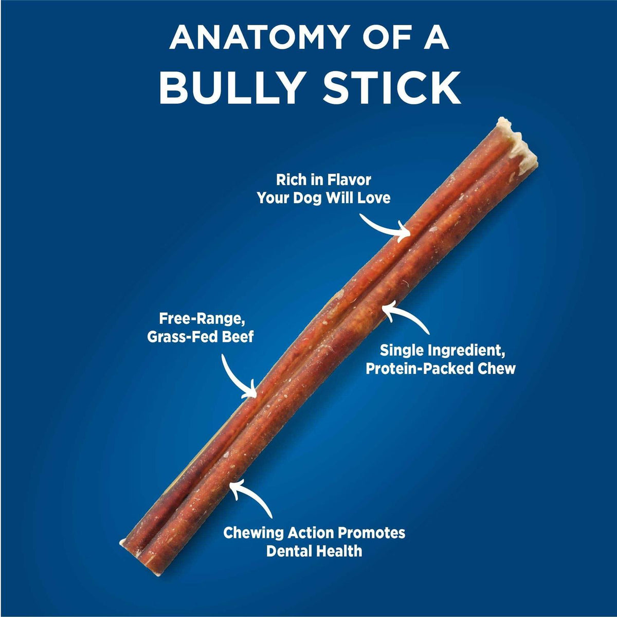 Odor Free Bully X264967