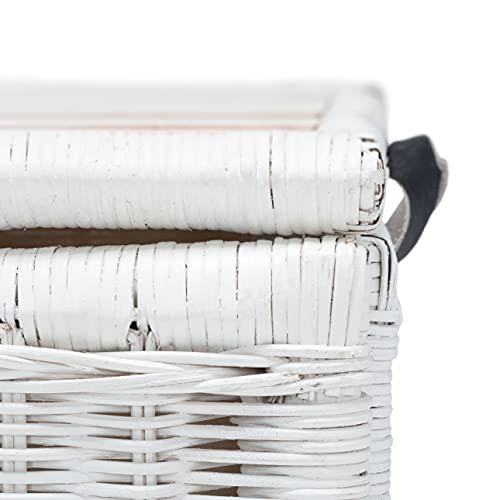 White/Brown Rattan Storage Trunk Q4619