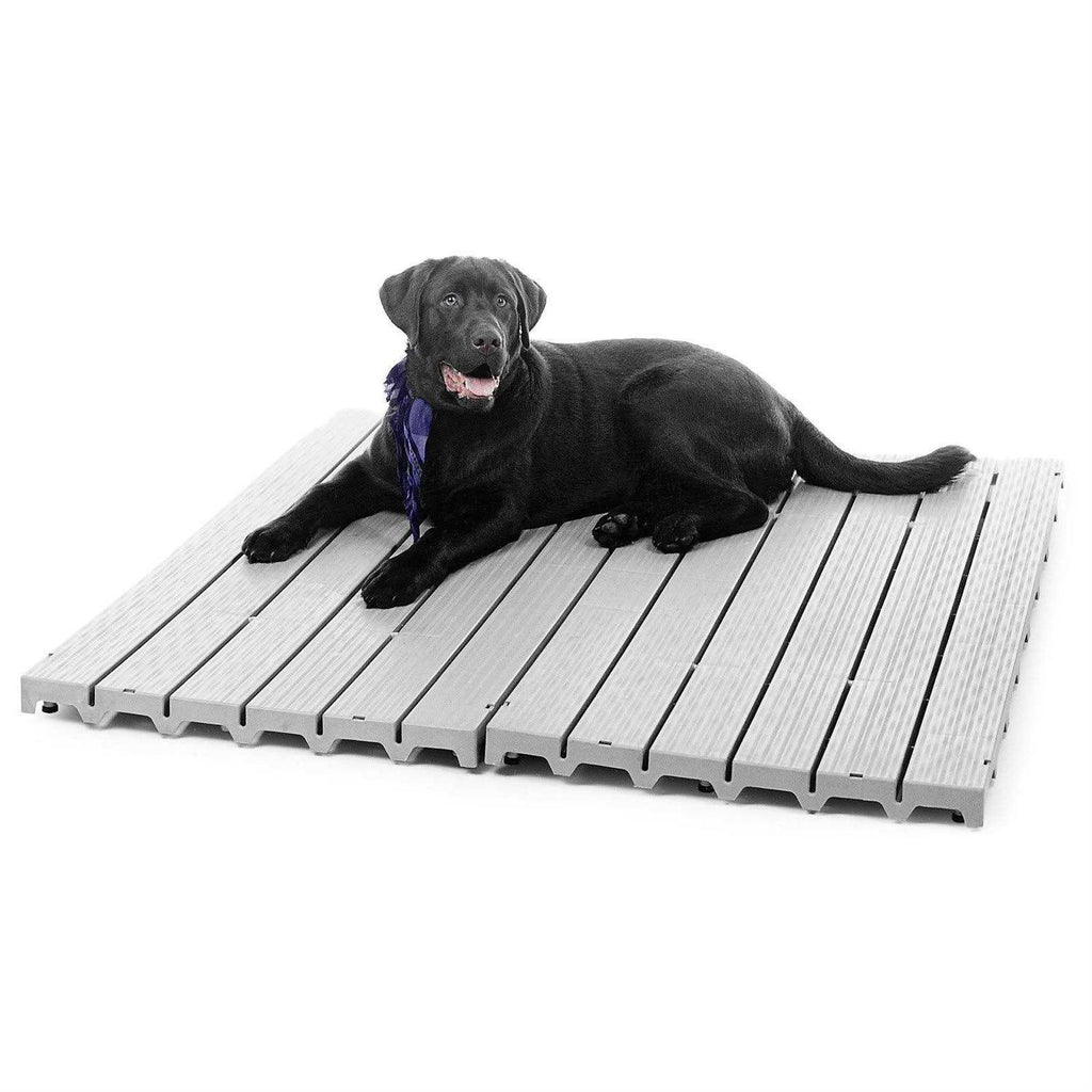Pet Supplies D6143