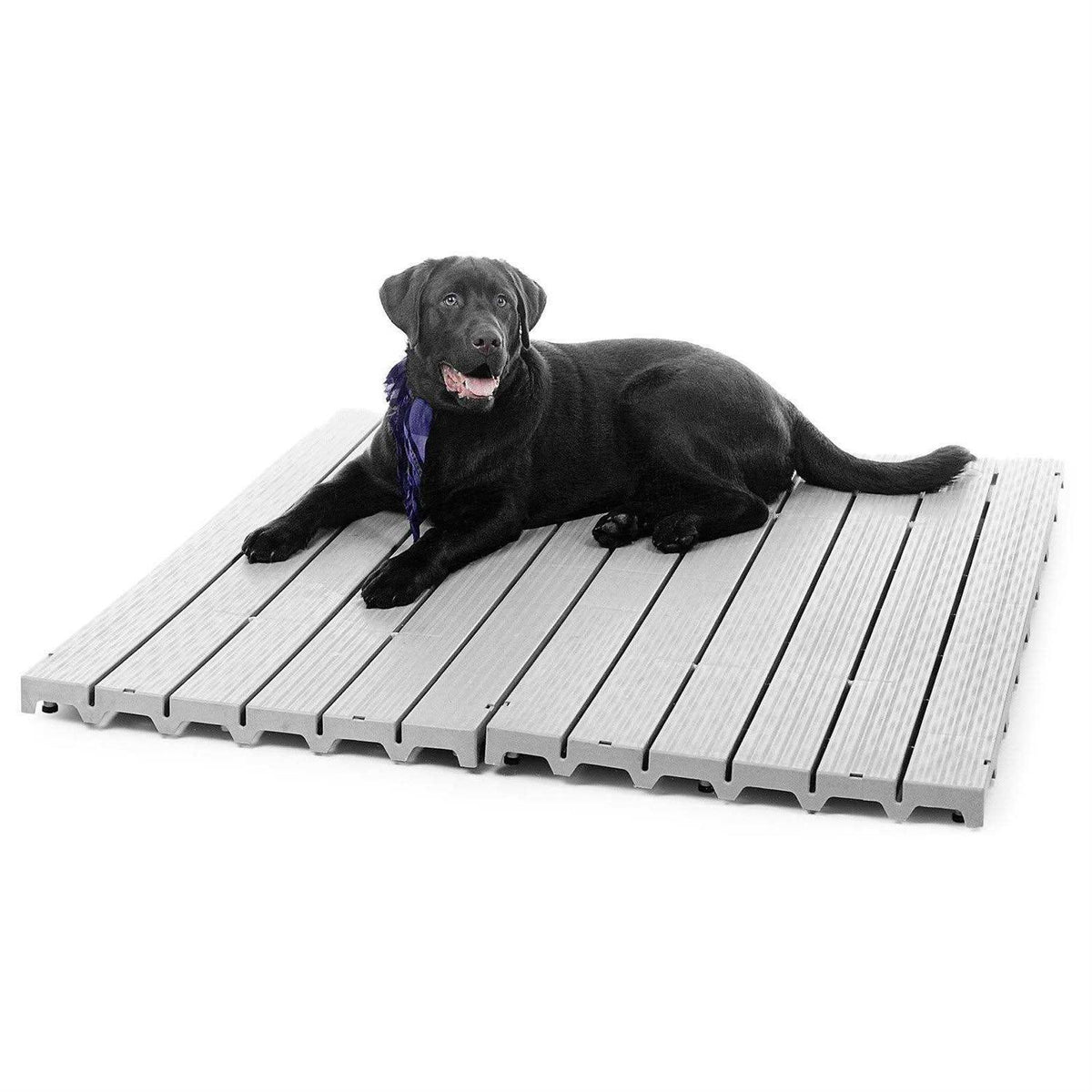 Pet Supplies D6143