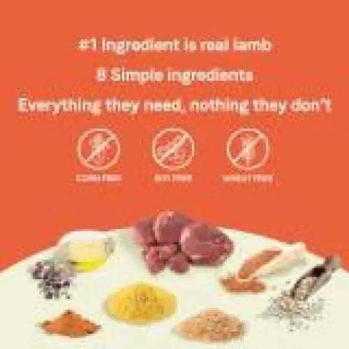 Lamb & Brown Rice Recipe Dry Dog Food H69935