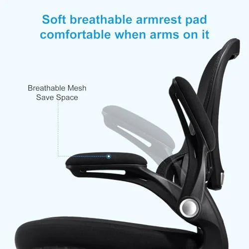 Ergonomic Mesh Office Chair with Lumbar Support Black O98020