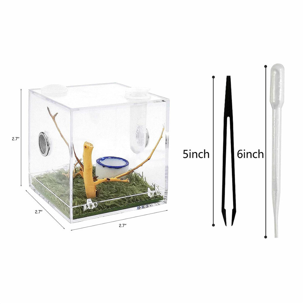 Spider Terrarium Acrylic Reptile Breeding Box with Dropper Tongs P639636