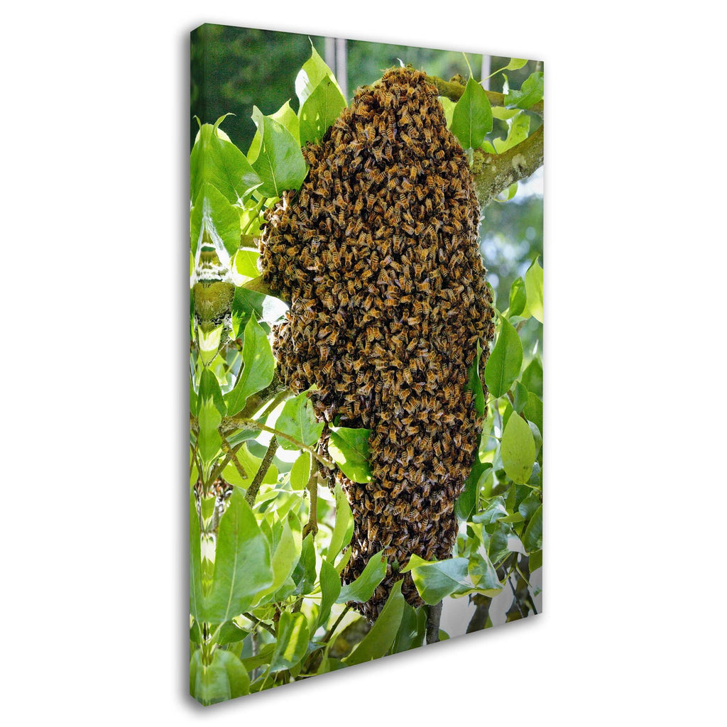 Swarm of Bees Canvas Art R795103