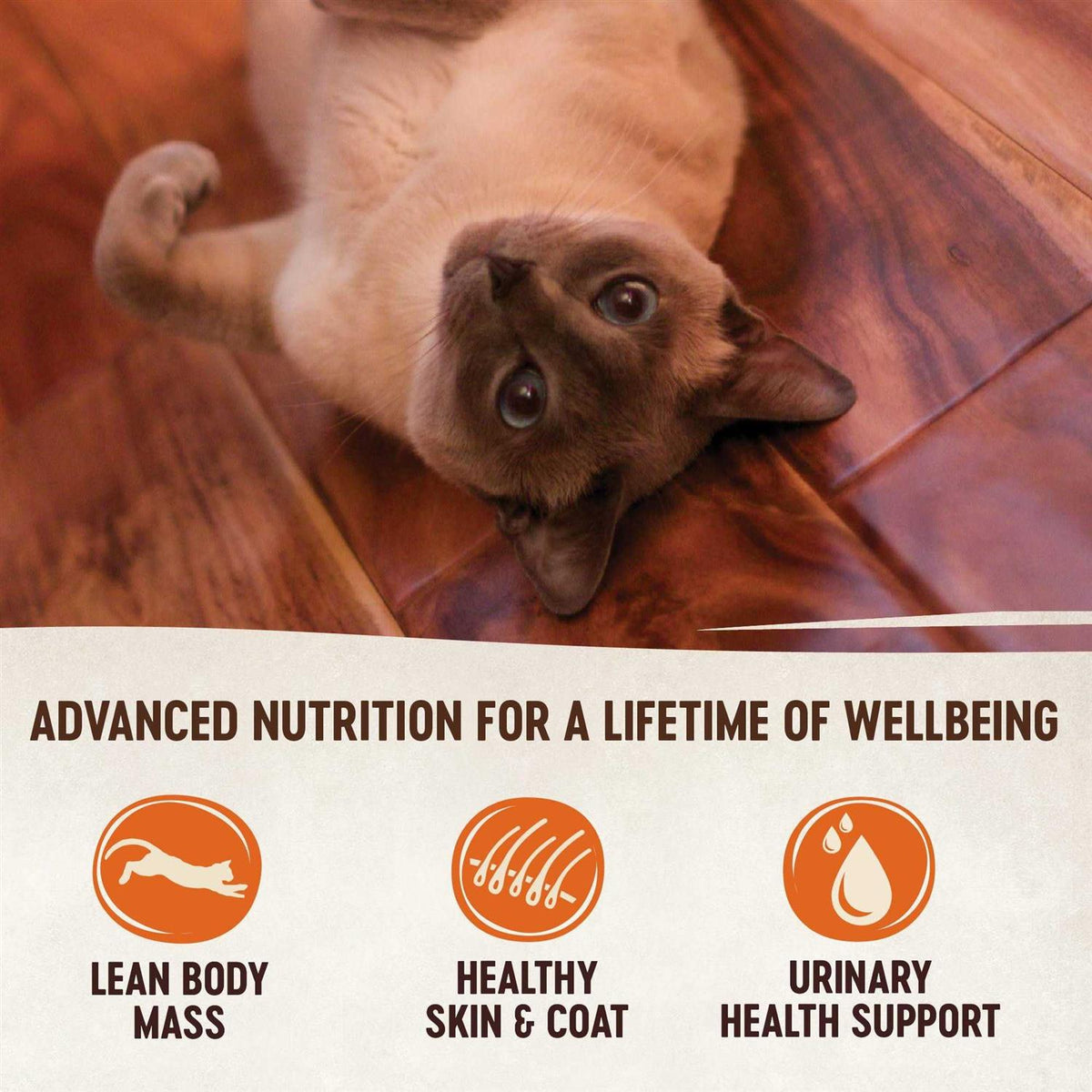Grain-Free Chicken Turkey & Chicken Liver Pate Canned Cat Food S92119