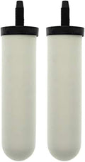 Ceramic Candle Filter (2 PACK) N861484