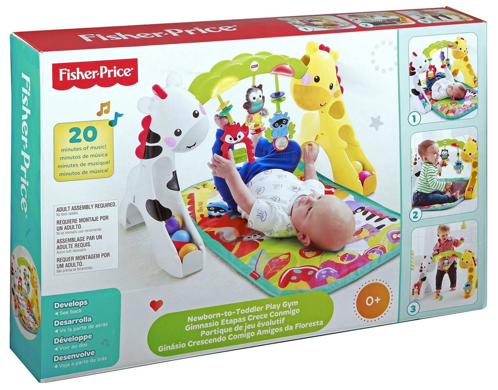 Newborn-to-Toddler Play Gym W533835