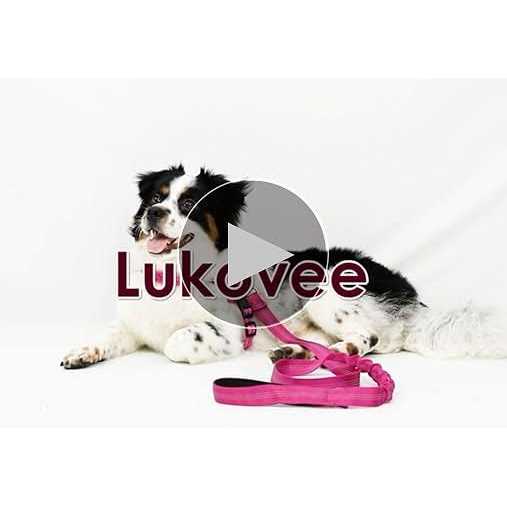 Heavy Duty Adjustable Reflective Dog Harness and Leash T96955