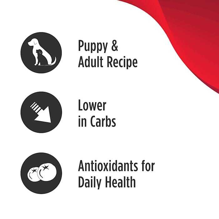 Grain Free Salmon Dog Food Y797