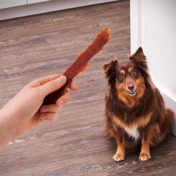 Dog Treats N893878