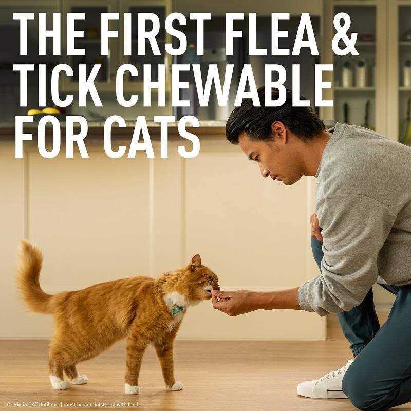 Credelio for Cats I540030