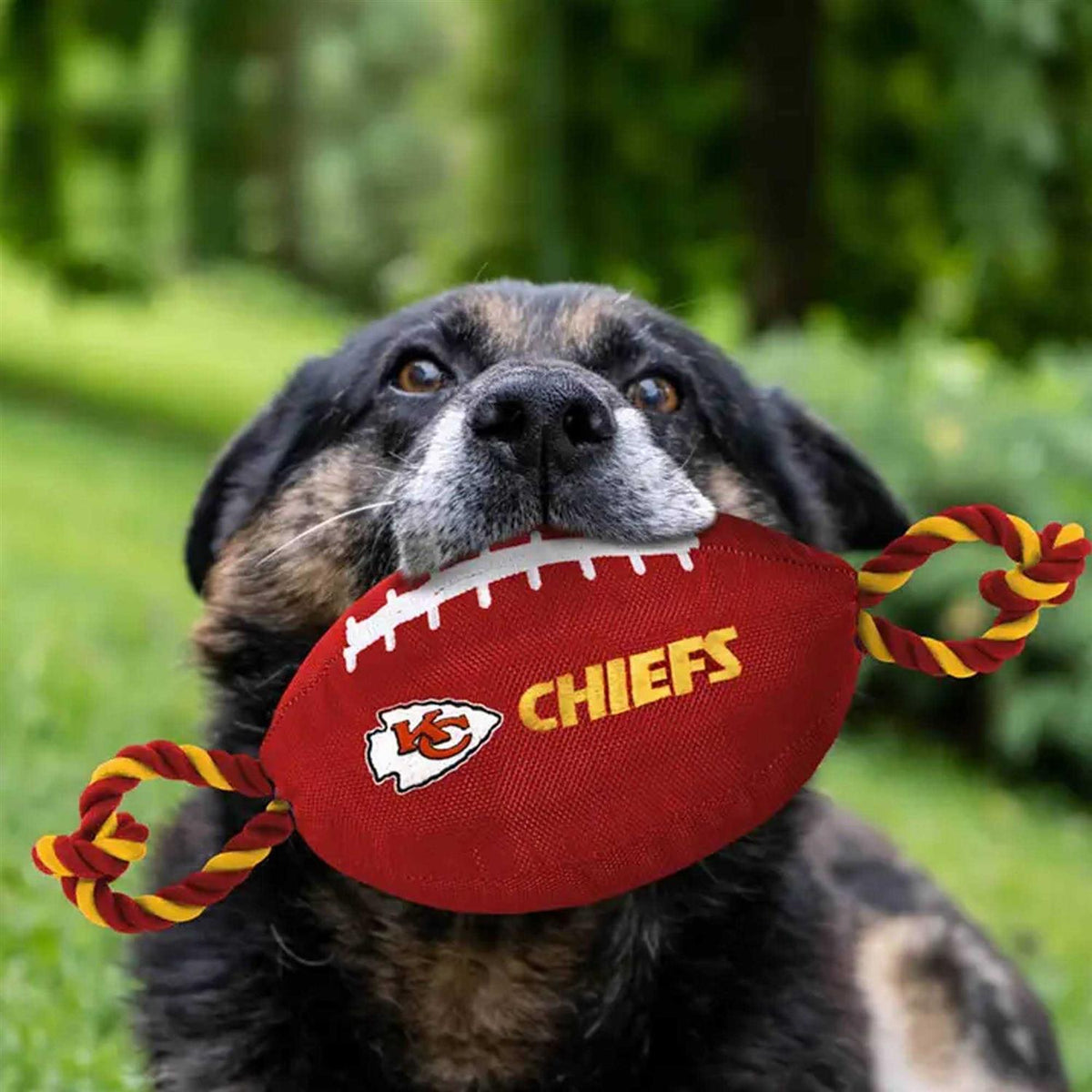 Nylon Football Dog Toy C44789