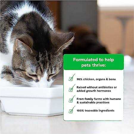 Chicken Freeze Dried Raw Cat Food W6525
