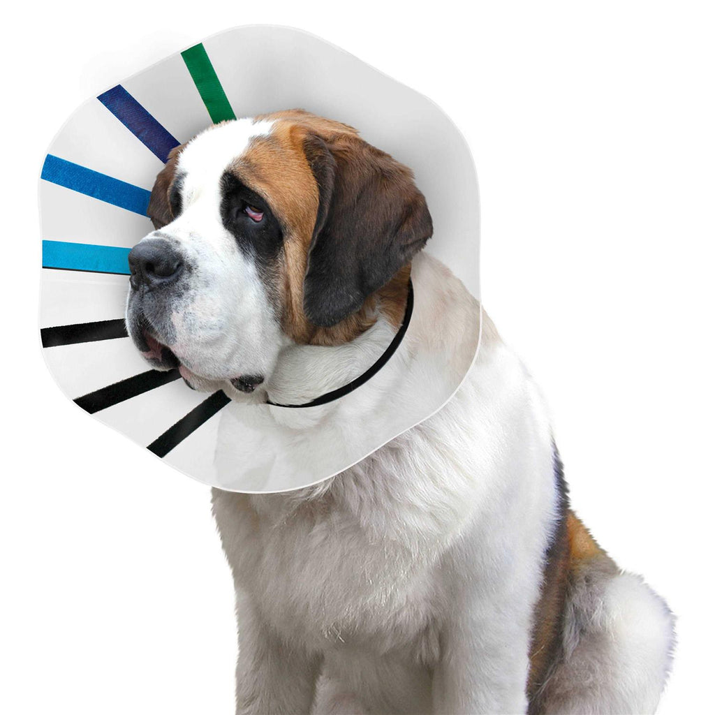 Clear Collar A984771