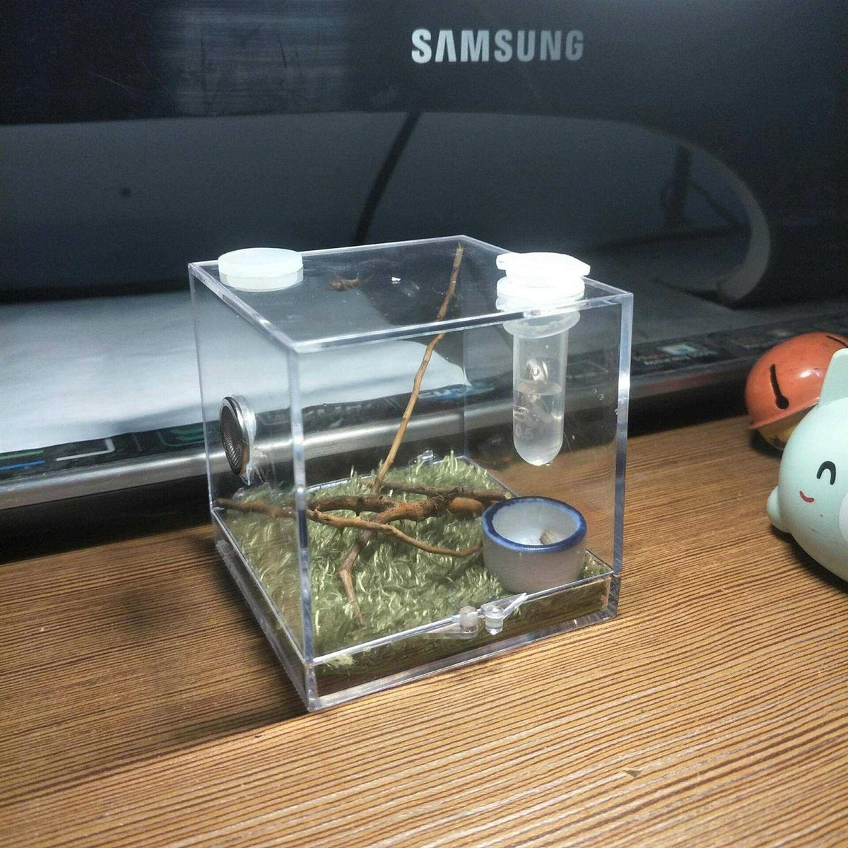 Spider Terrarium Acrylic Reptile Breeding Box with Dropper Tongs P639636