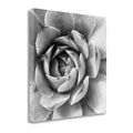 Canvas Art O865561