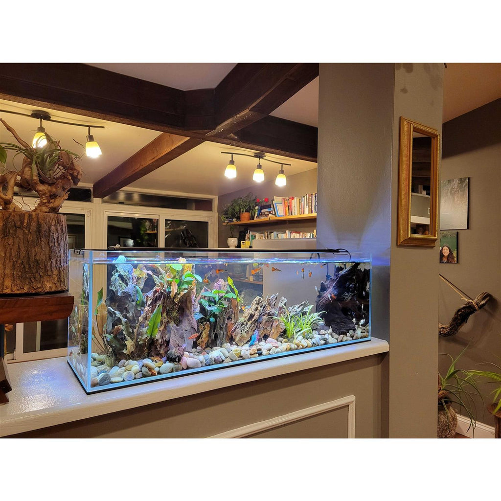 6 Gallon Clear Glass Bookshelf Aquarium I1702