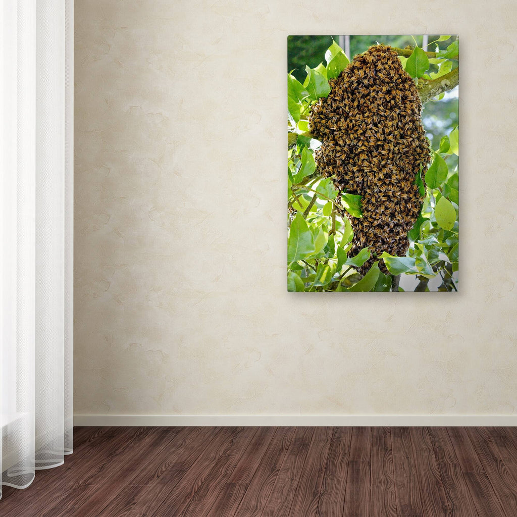 Swarm of Bees Canvas Art R795103