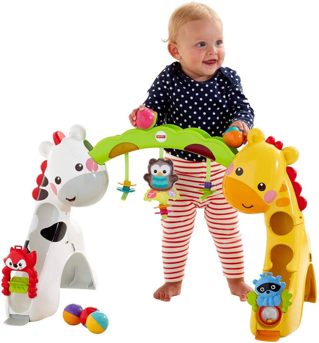 Newborn-to-Toddler Play Gym W533835