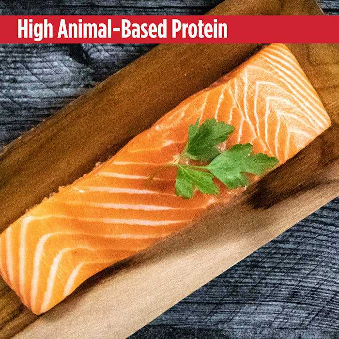 Grain Free Salmon Dog Food Y797