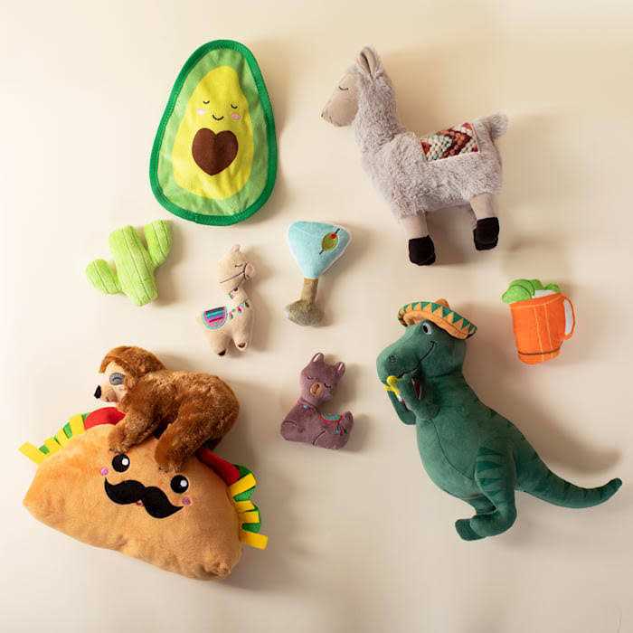 Dog Toy R64648