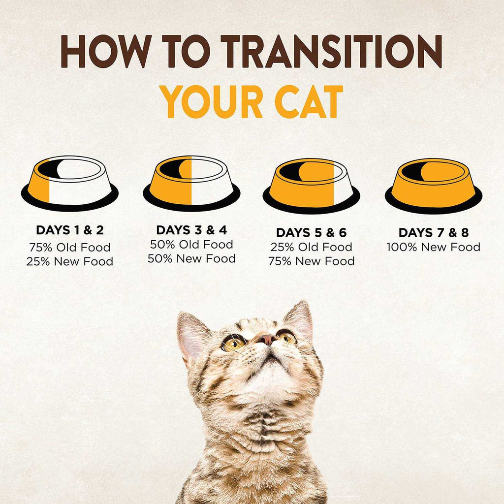 Dry Cat Food M1244