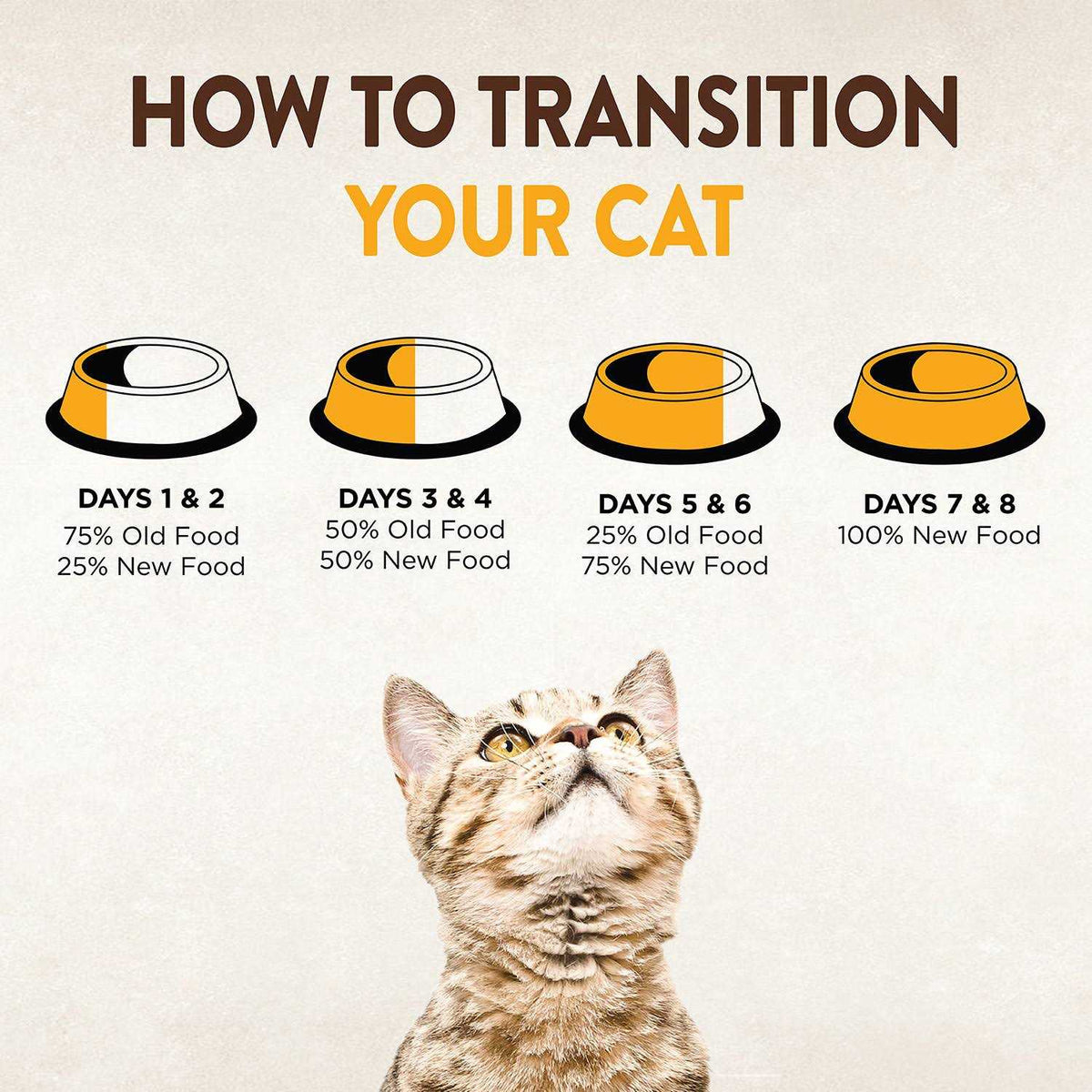 Dry Cat Food M1244
