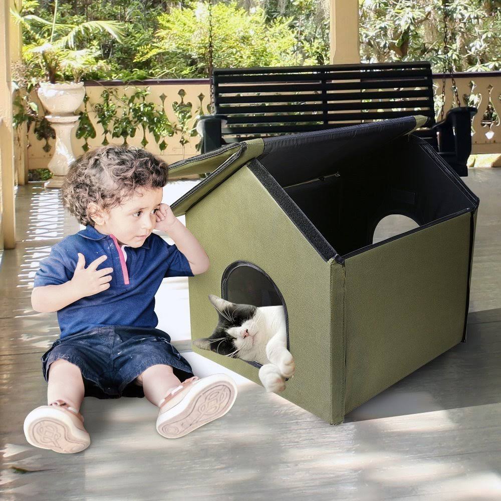 Cat House G73293
