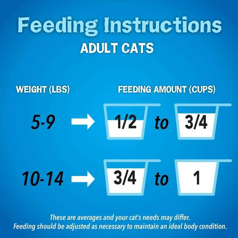 Dry Cat Food B8769