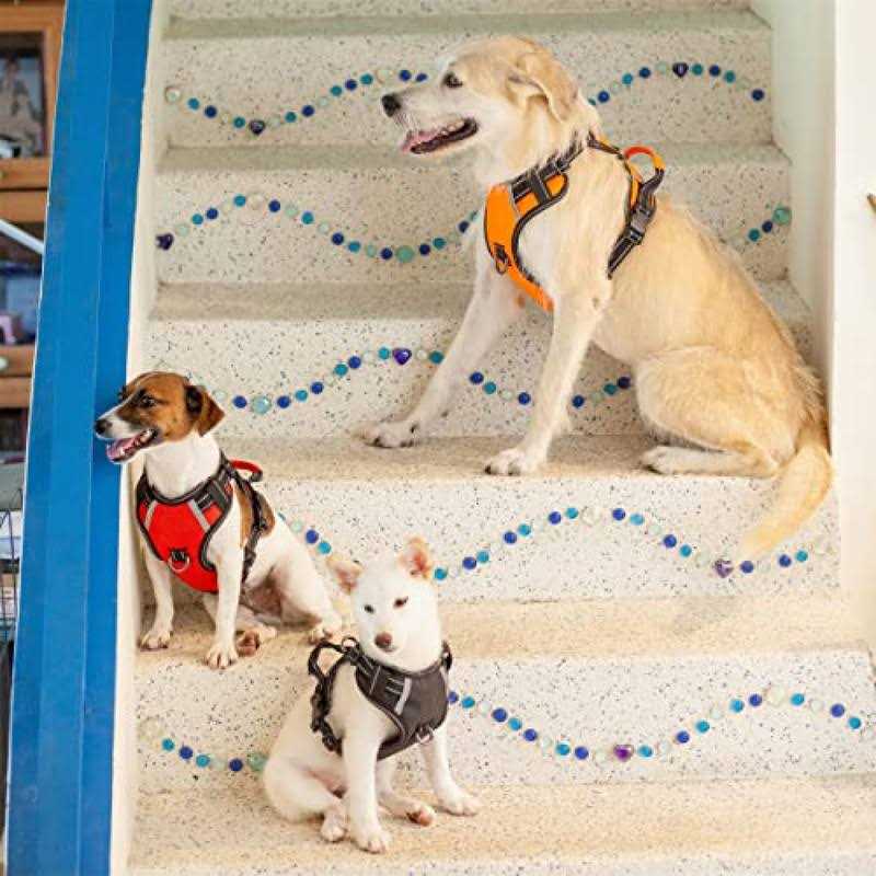 Adjustable Reflective Oxford Dog Harness with 5ft Dog Leash N101