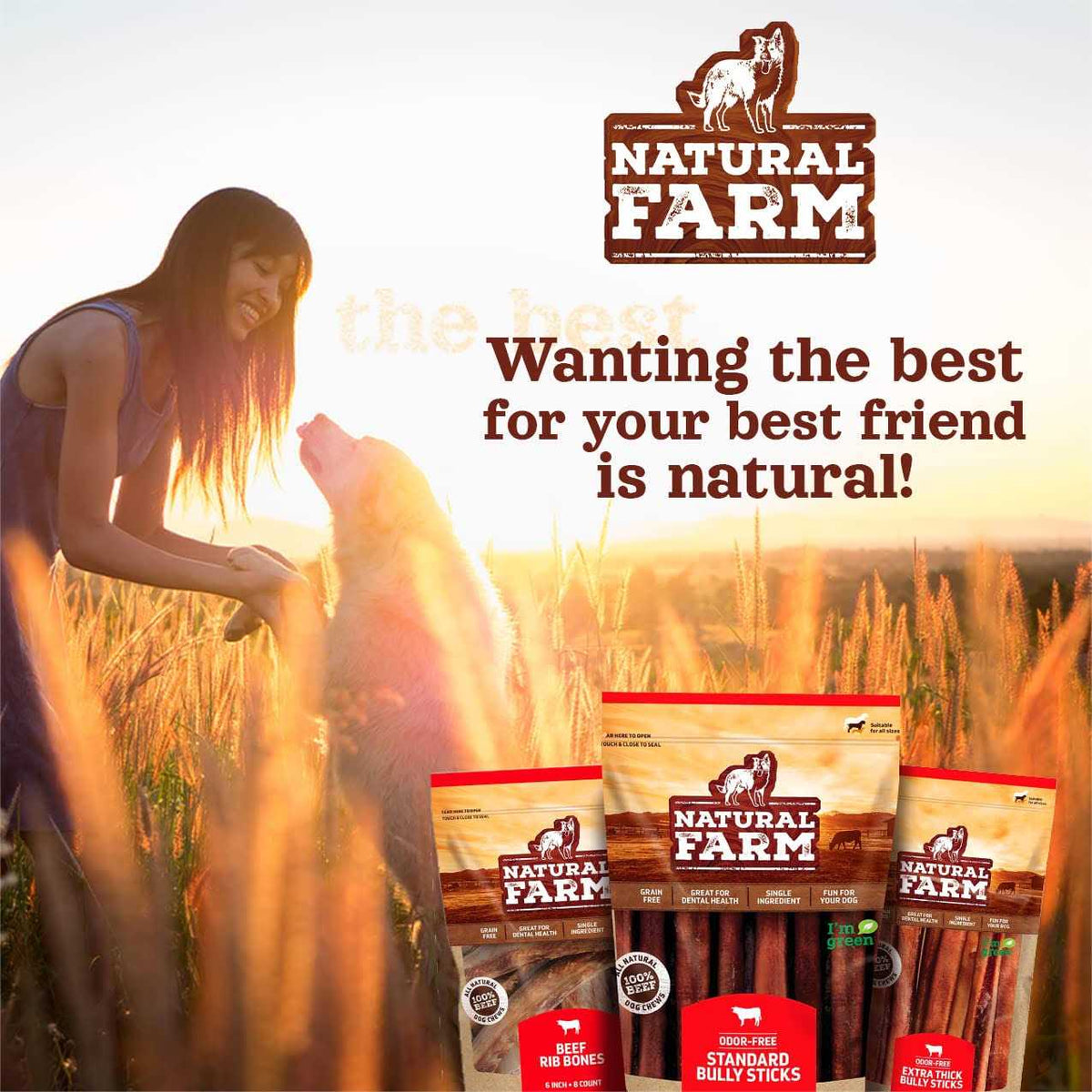 Beef Trachea Dog Chews P366