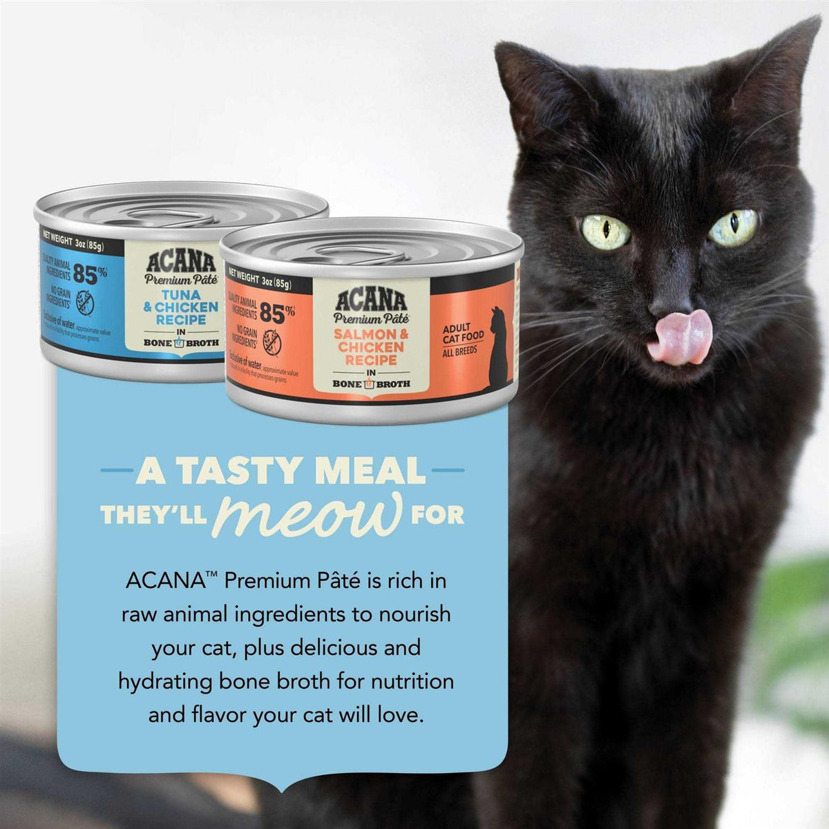 Wet Cat Food Variety Pack E61546