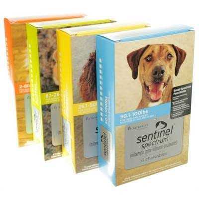 Spectrum for Dogs W9797