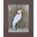 White Egret II Framed Print W245377