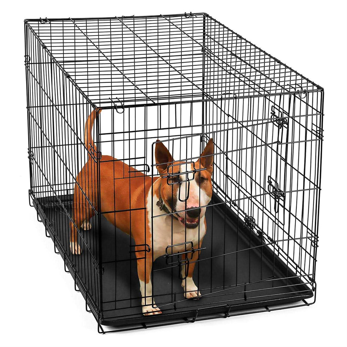 Folding Wire Dog Crate Q90972